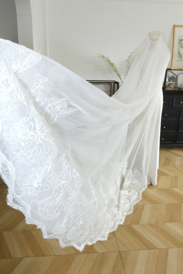 Elegant Wedding Dress Long Train Veil Lace Embroidery Veils - Style #HV-015